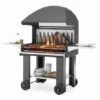 Emile South American Wood Fired BBQ Grill 2 Emile South American Wood Fired BBQ Grill -GardenChic Elegant Shop 809810550 1